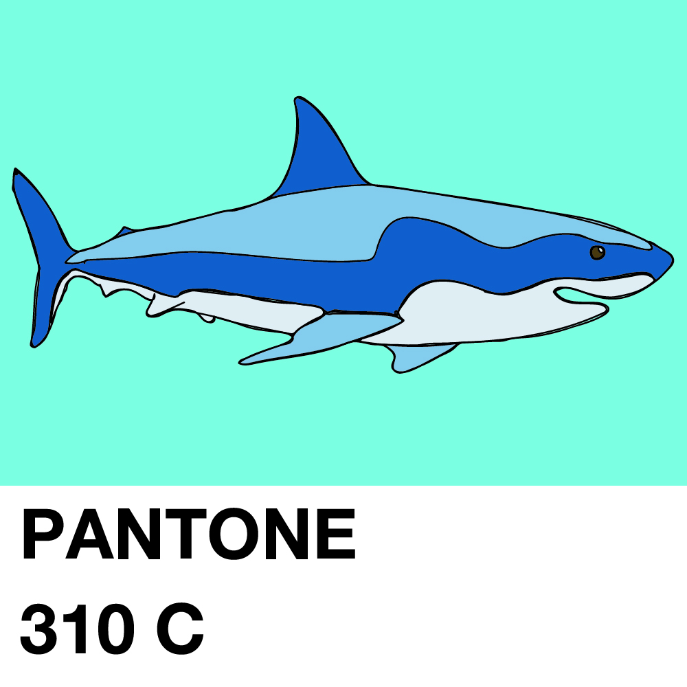 PANTONE-310-C